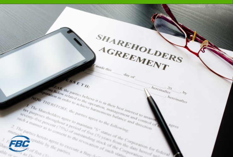 What is a Shareholder Loan?