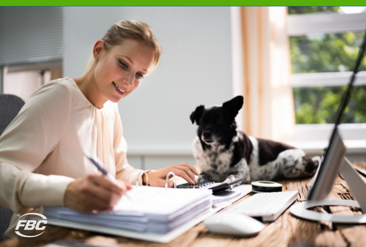 woman accounting with computer and dog